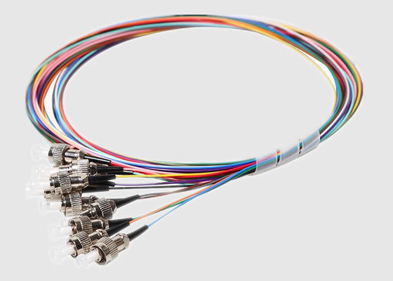 12 el color de la fibra 12 aviva hacia fuera la coleta de FC los 2M Single Mode Fiber